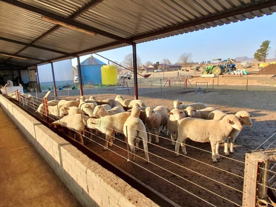 Commercial Property for Sale in Kestell Rural Free State